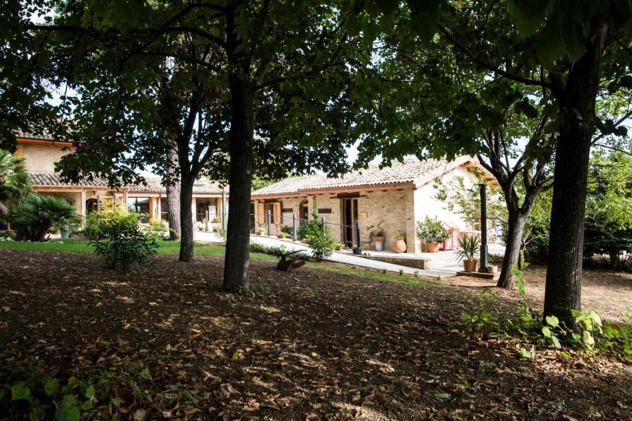 B&B Il Cavallino Civitanova Alta Exterior photo