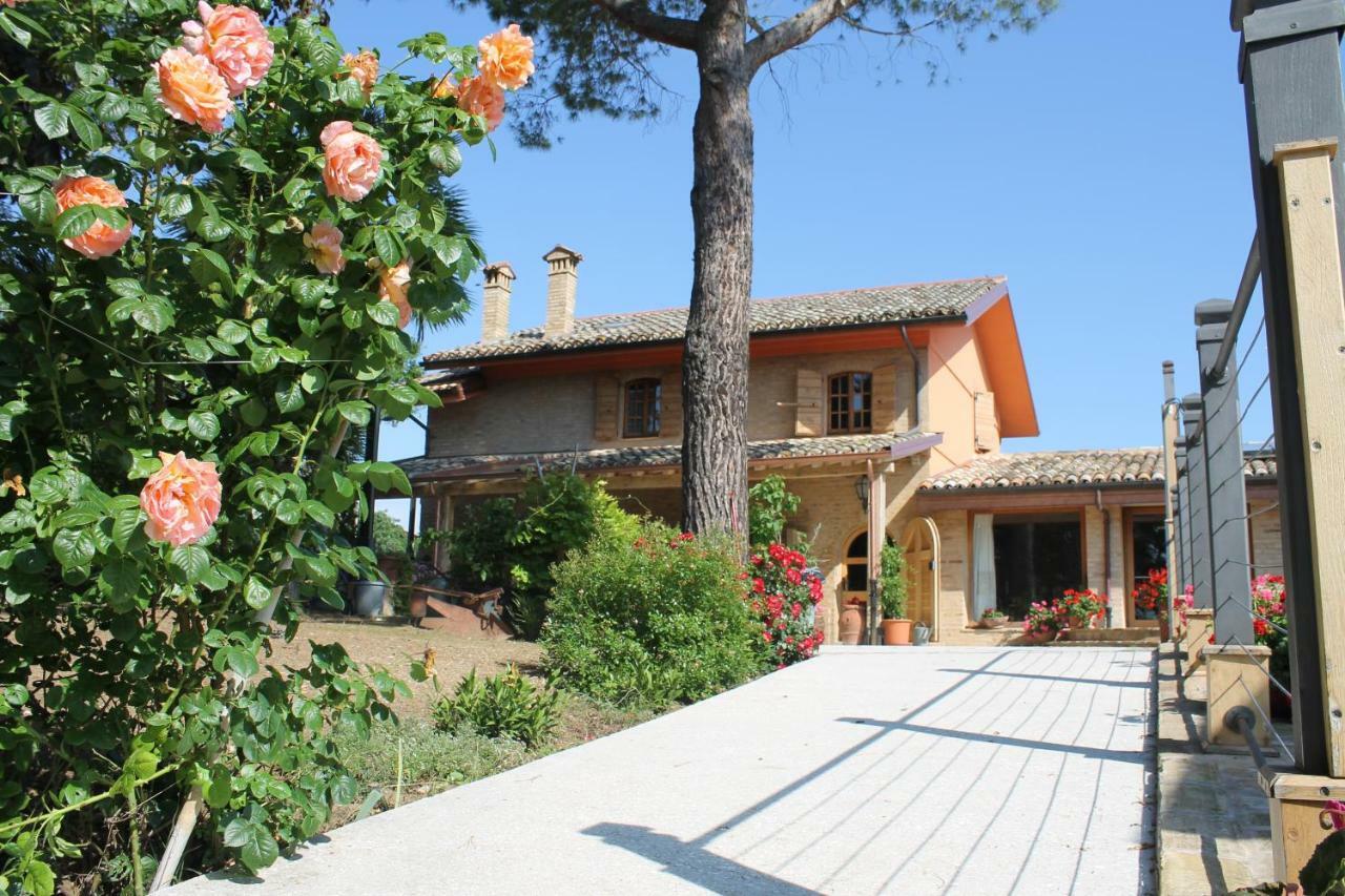 B&B Il Cavallino Civitanova Alta Exterior photo