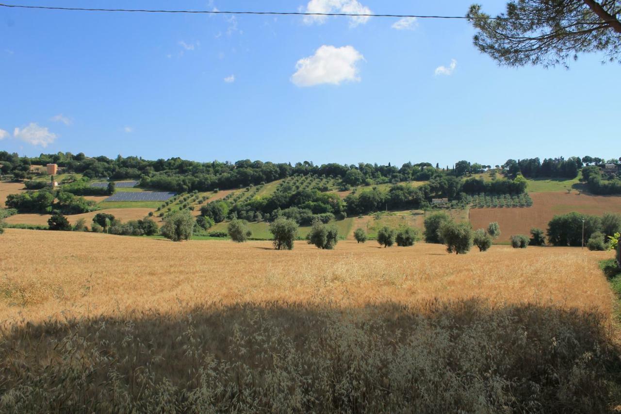 B&B Il Cavallino Civitanova Alta Exterior photo